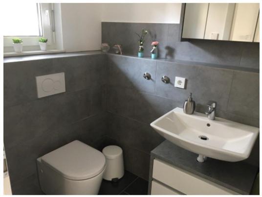 Ferienwohnung Bodensee Nenzingen Hegau Orsingen-Nenzingen Екстериор снимка